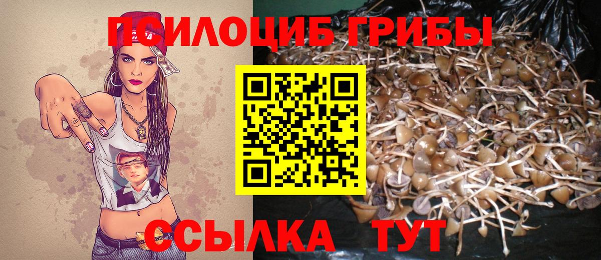Советский  Галлюциногенные грибы ЛСД  Вход с VPN 