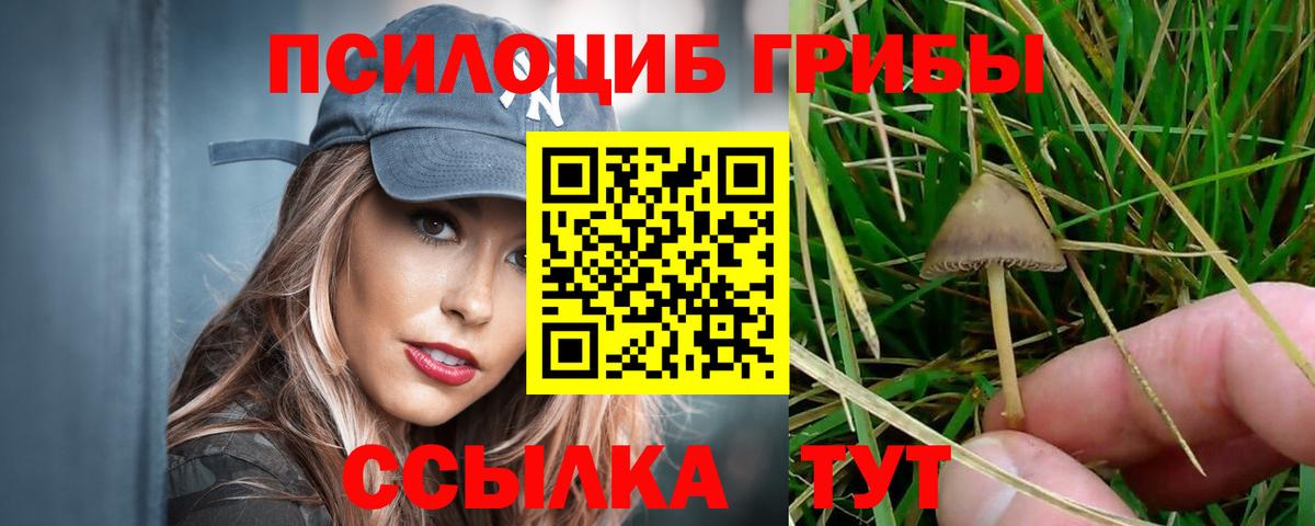 Псилоцибиновые грибы Psilocybine cubensis Советский